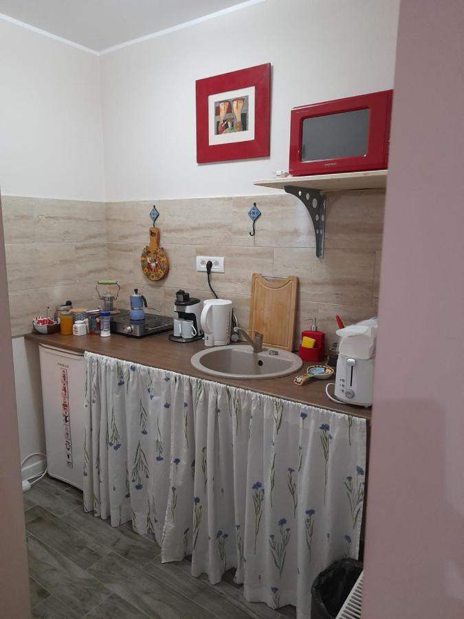 טימישוארה Skyline Central Apartment מראה חיצוני תמונה