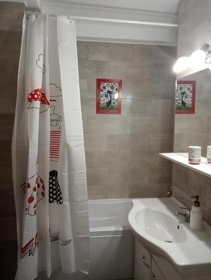 טימישוארה Skyline Central Apartment מראה חיצוני תמונה