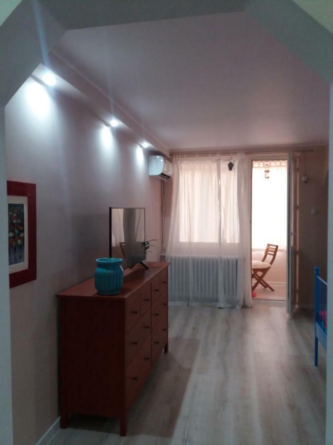 טימישוארה Skyline Central Apartment מראה חיצוני תמונה