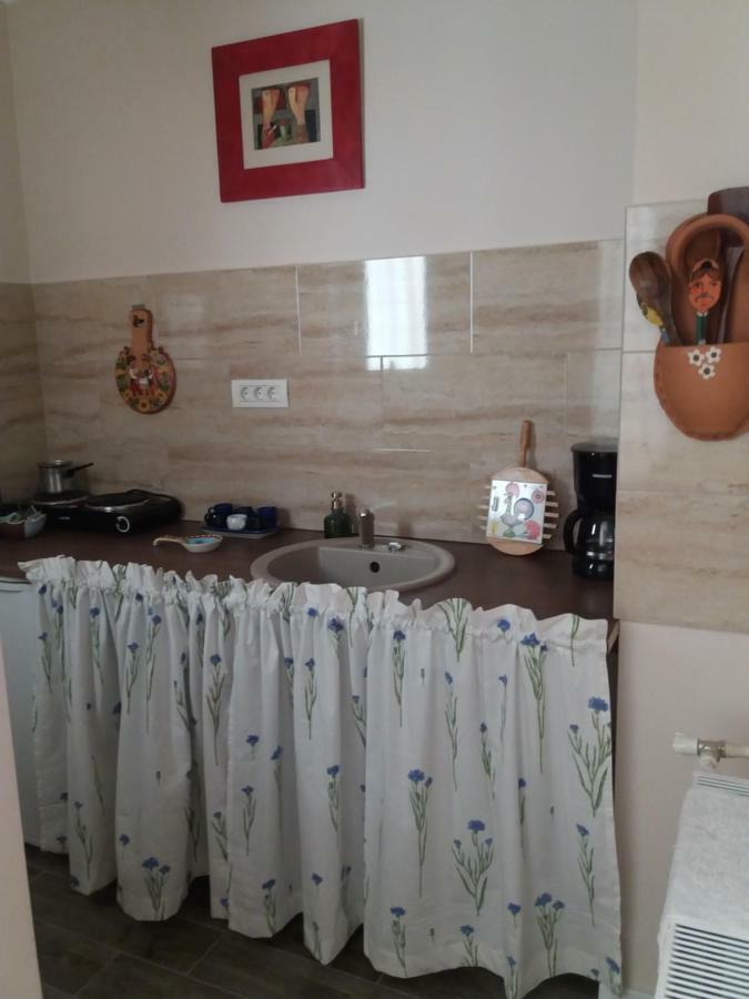 טימישוארה Skyline Central Apartment מראה חיצוני תמונה