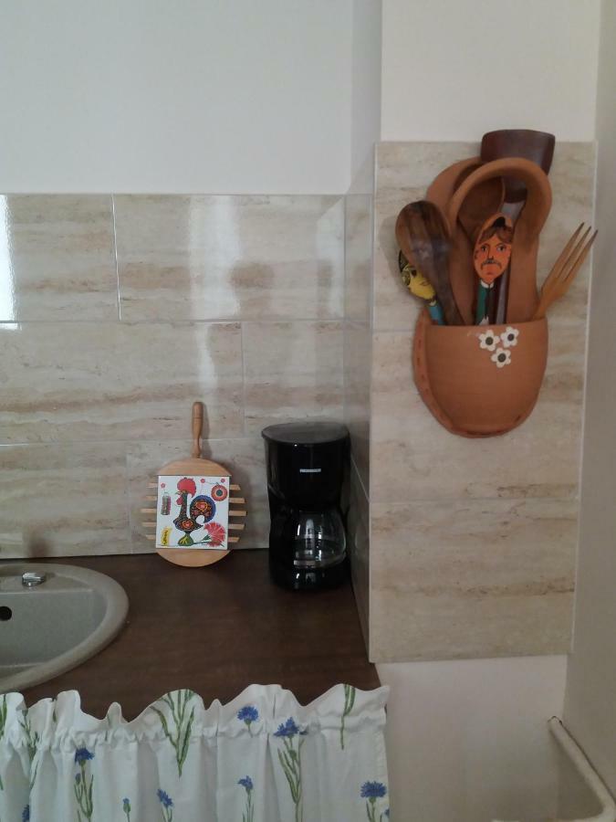 טימישוארה Skyline Central Apartment מראה חיצוני תמונה