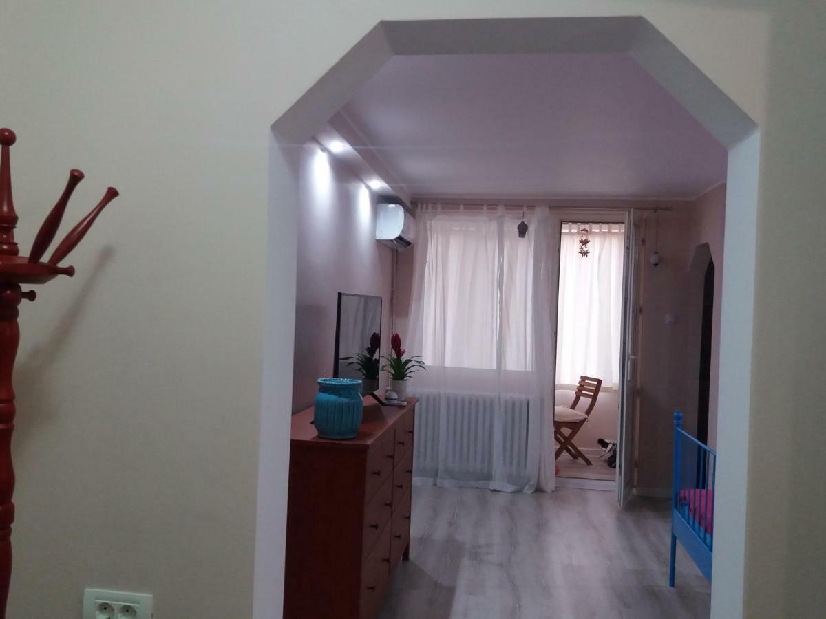 טימישוארה Skyline Central Apartment מראה חיצוני תמונה