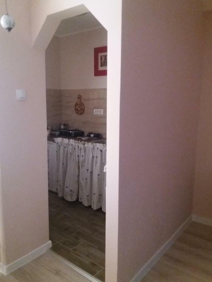 טימישוארה Skyline Central Apartment מראה חיצוני תמונה