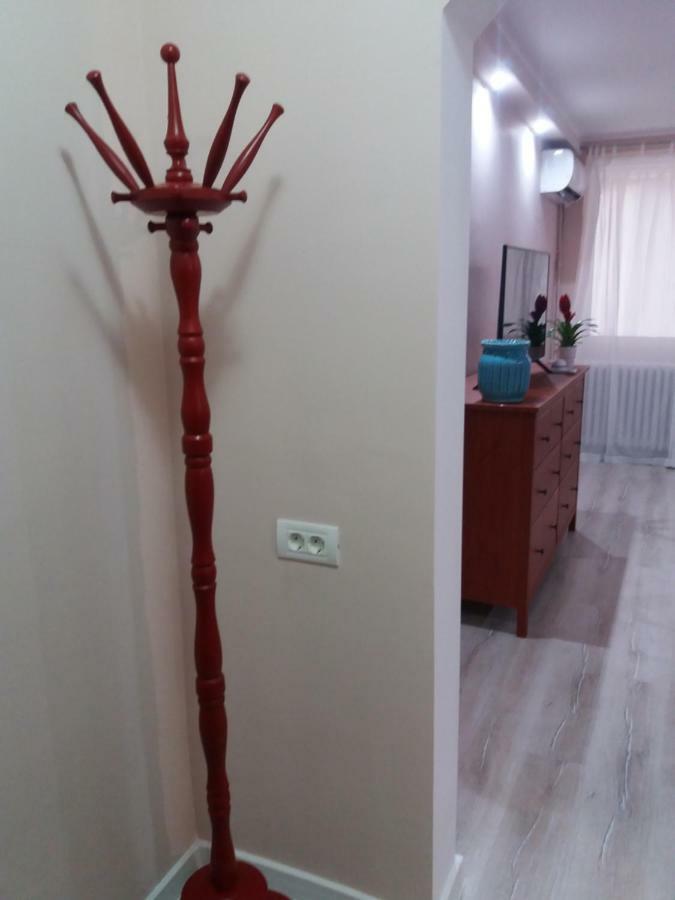 טימישוארה Skyline Central Apartment מראה חיצוני תמונה