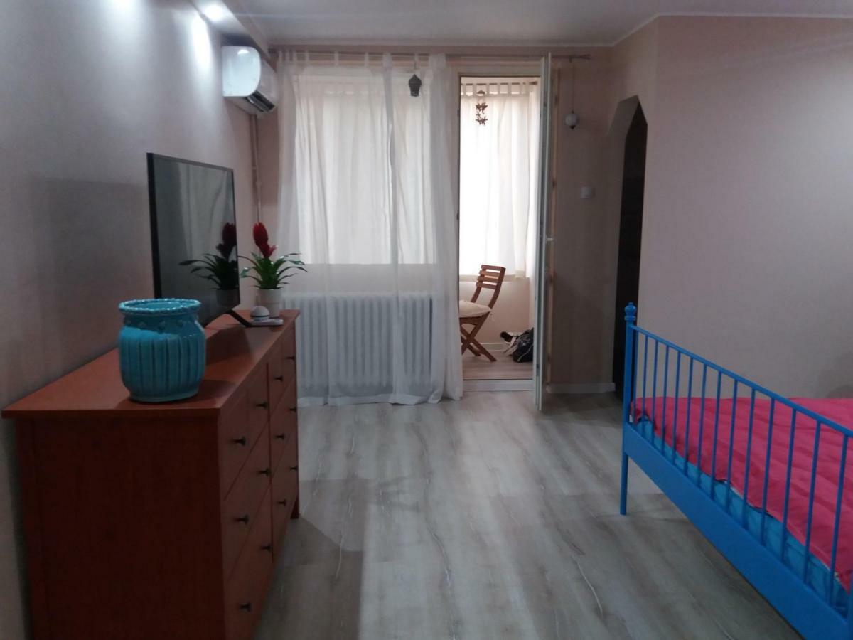 טימישוארה Skyline Central Apartment מראה חיצוני תמונה