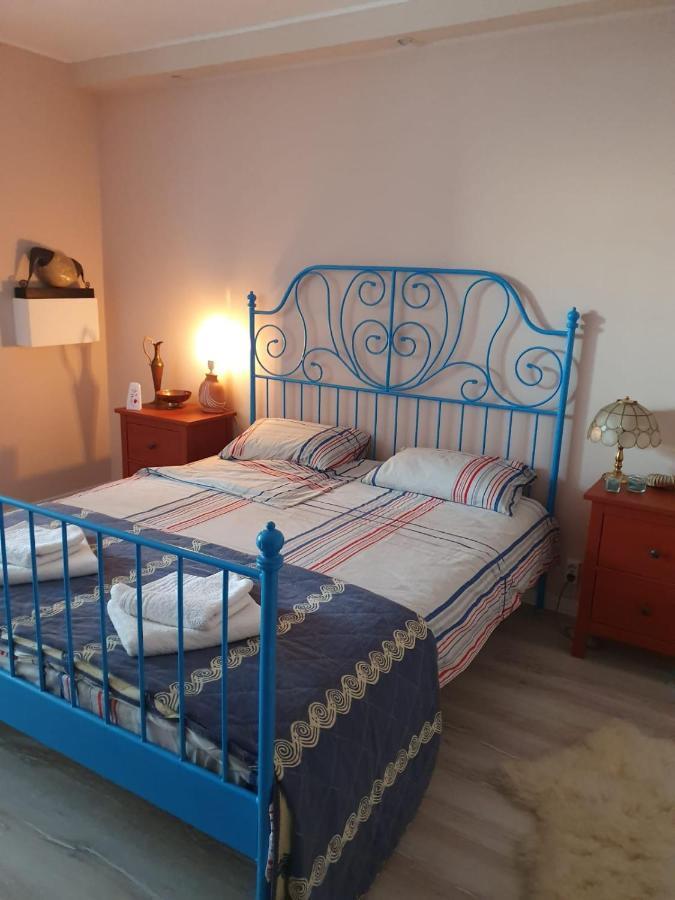 טימישוארה Skyline Central Apartment מראה חיצוני תמונה