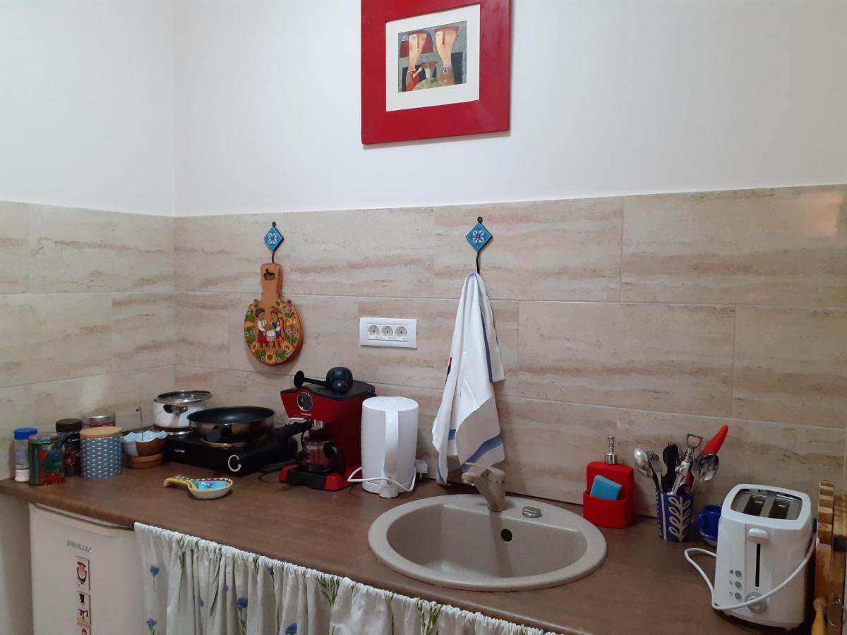 טימישוארה Skyline Central Apartment מראה חיצוני תמונה