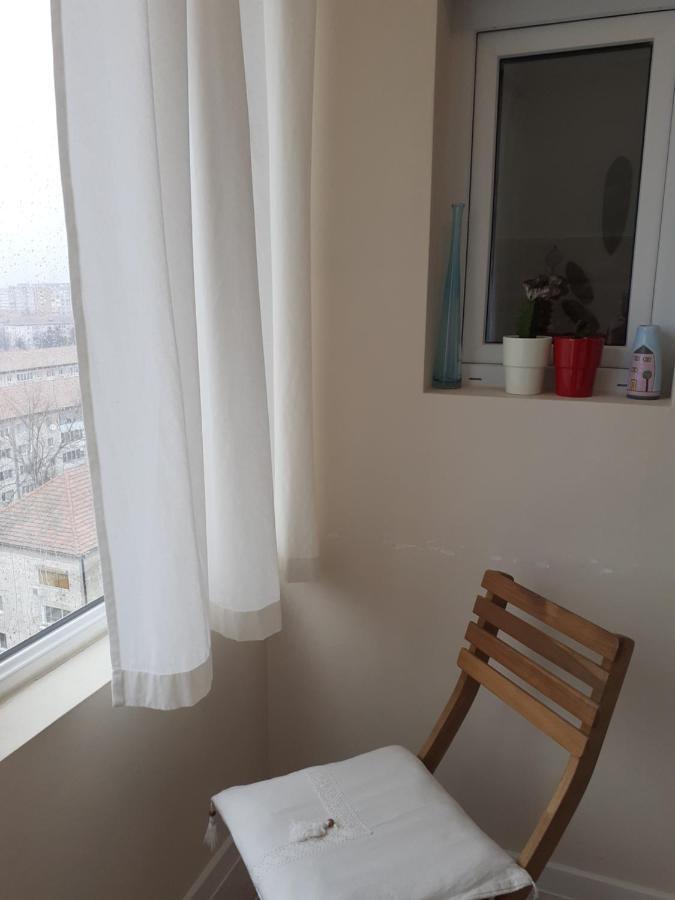טימישוארה Skyline Central Apartment מראה חיצוני תמונה